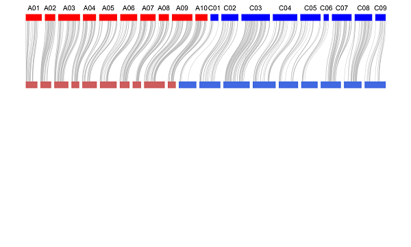 用bezier曲线连接表示标记在基因组和连锁图上的对应位置