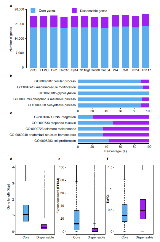 protein-coding gene-based的泛基因组