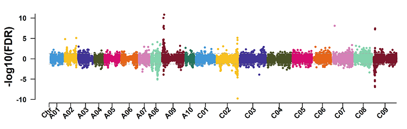 使用 EMMAX 得到的 TWAS 结果