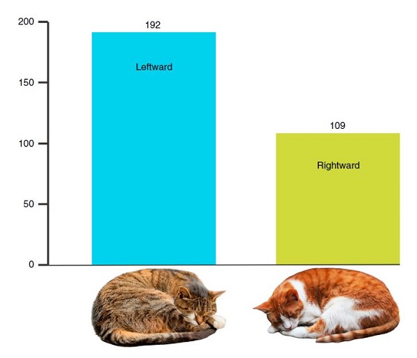 向左还是向右，这是个问题